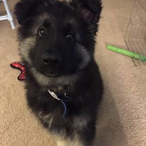 Meet your Posher, Flavia